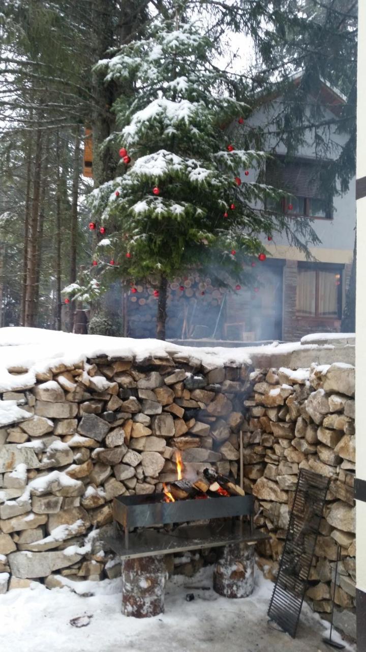 Berghof Eva - Hotel Panichishte Exteriör bild